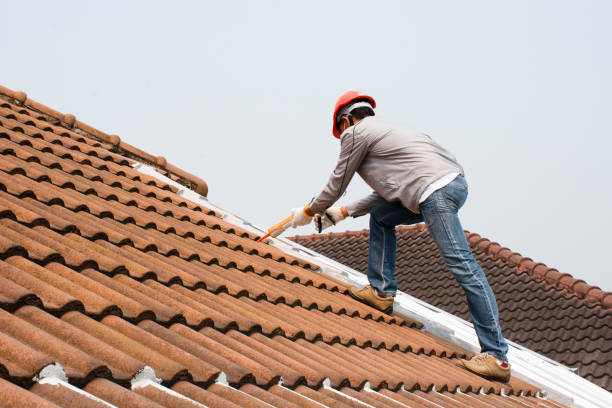 Best Skylight Installation and Repair  in Lansdowne, VA
